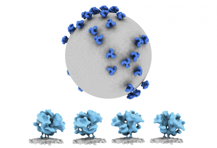 Pesquisares fazem analise do vírus HIV com modelo em formato 3D