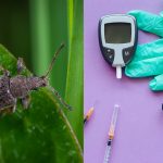 Teste contra doença de Chagas
