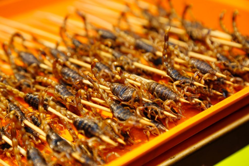 Sim! O consumo de insetos comestíveis, conhecido como entomofagia, não só é possível, mas também é ainda uma rica fonte nutricional; veja todas suas propriedades benéficas