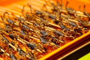 Sim! O consumo de insetos comestíveis, conhecido como entomofagia, não só é possível, mas também é ainda uma rica fonte nutricional; veja todas suas propriedades benéficas