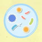 Descoberta de quase mil micróbios que podem provocar doenças