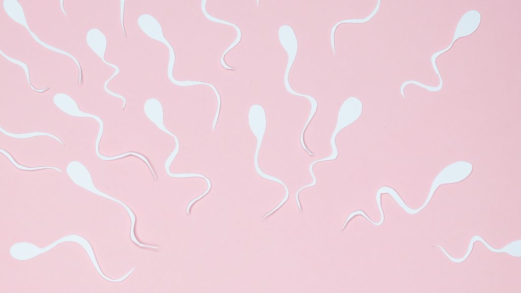 Viúvas coletam espermas de soldados mortos para engravidar