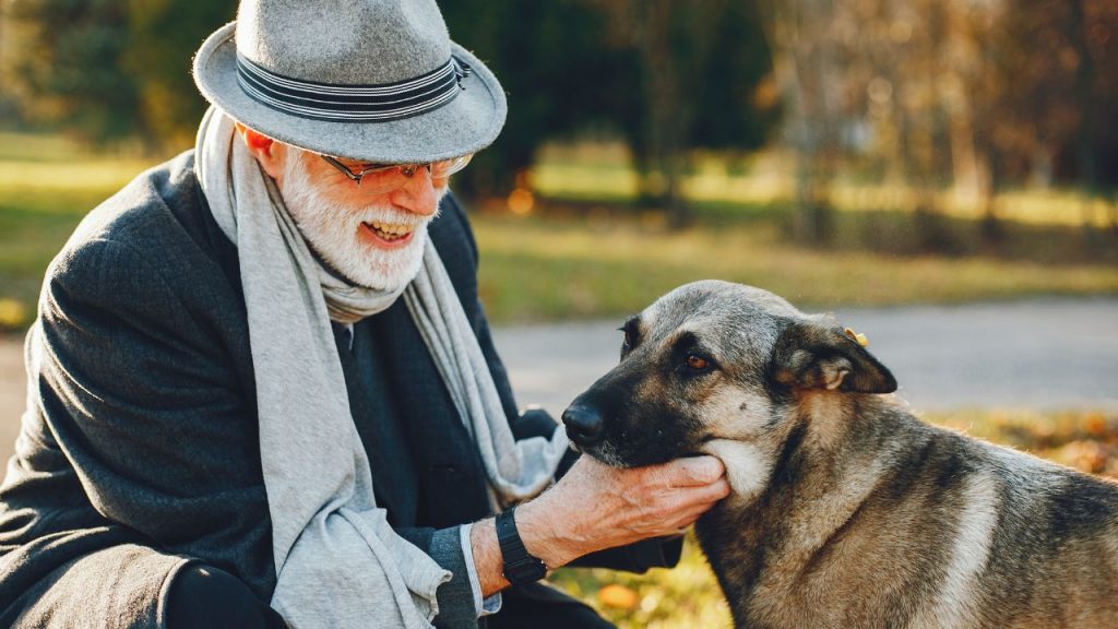 A ciência comprovou: cachorros sedentários têm mais chance de desenvolver "Alzheimer"