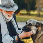 A ciência comprovou: cachorros sedentários têm mais chance de desenvolver "Alzheimer"