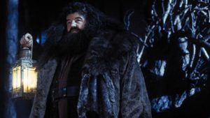 Intérprete de Hagrid de 'Harry Potter', Robbie Coltrane, morre aos 72 anos
