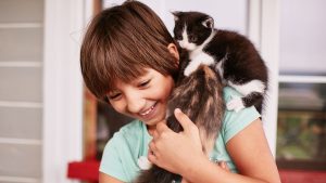 Animal de estimação: o que as crianças precisam saber antes de ter um?