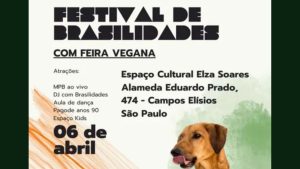 Festival Brasilidades