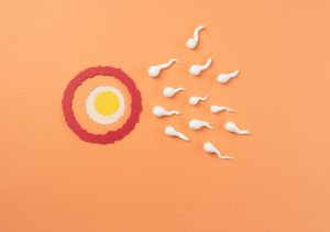 5 mitos comuns sobre a fertilidade masculina são desmistificados por especialista